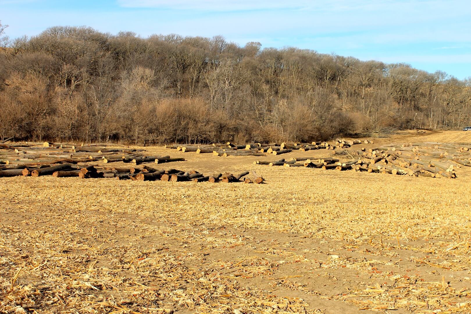Logging in Underwood, IA.