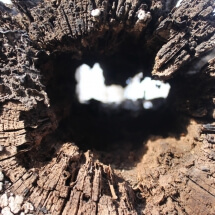 hole
