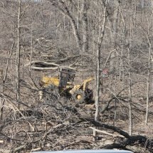 skidder2